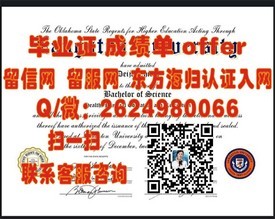 《揭秘爱知大学含金量：毕业证背后的学术实力与就业前景》