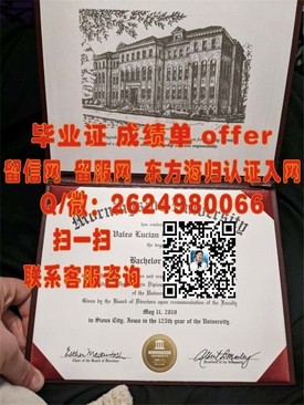 “东京国际大学学位认证：揭秘国际认可的学历优势与求职亮点”