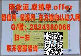 揭秘都柏林理工学院毕业证含金量：如何助力你的国际职场起航？