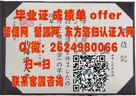 《法国兰斯大学官方毕业证解读：留学归来的身份象征与就业优势》