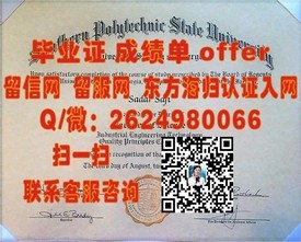 《纽约州立大学认证之旅：揭秘毕业证书背后的含金量与价值》