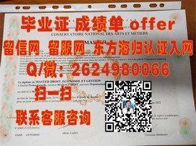 《MIT毕业证背后的价值揭秘：如何成为世界顶尖学府的精英凭证》
