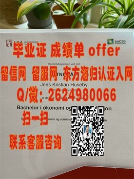《佛罗里达理工学院毕业证书揭秘：揭秘真实学位含金量与职场影响力》