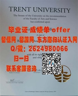 《东京大学文凭解析：如何获取并利用这份全球认可的学术荣耀》