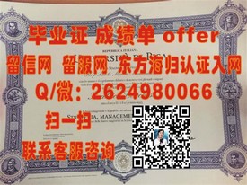 《韦恩州立大学毕业证书解析：价值认证与留学申请攻略》