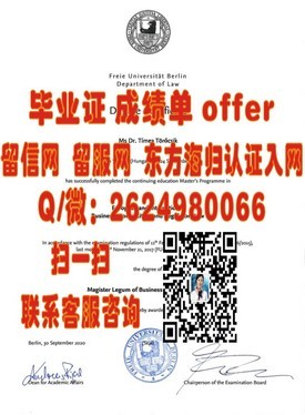 《都柏林理工学院毕业证解析：权威认证，开启全球职场新篇章》