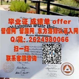 《南非开普半岛科技大学毕业证：权威认证，开启国际职场新篇章》