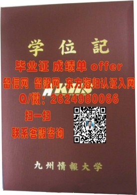 《荷兰萨克逊大学证书揭秘：权威留学认证，成就国际视野》