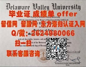 《纽约州立大学帝国州立学院毕业证揭秘：真实学位认证与求职优势》