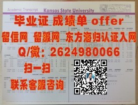 《揭秘真实价值：国士馆大学毕业生如何凭借毕业证开启国际职场之路》