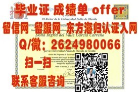 《香港浸会大学文凭：详解毕业证书背后的学术荣耀与职业价值》