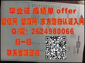 “丹麦南丹麦大学官方毕业证书详解：权威认证，开启国际学术之门！”