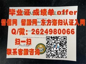 “东京大学文凭解析：如何获取梦寐以求的学术荣耀？”