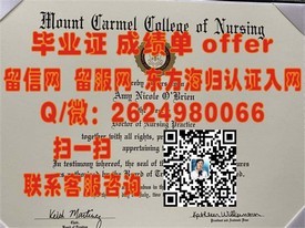 《帝京大学官方认证：获取真实毕业证的必备攻略与详解》