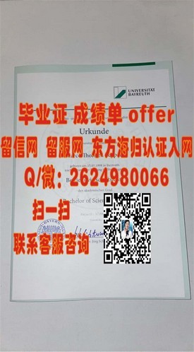 《加拿大约克大学学位证书详解：申请攻略与认证全解析》