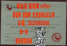 《圣约瑟夫学院毕业证背后的故事：揭秘真实学位含金量与求职优势》