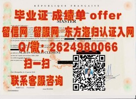 《东京理科大学学历认证：揭秘日本顶尖理工科院校毕业证书的含金量》