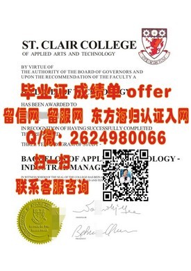 《高知工科大学认证之旅：揭秘全球顶尖工程学位证书的含金量与价值》