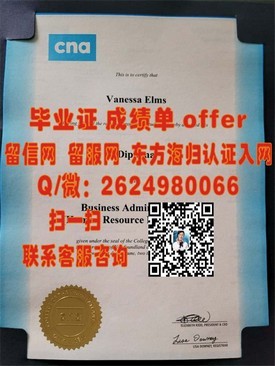 《东京艺术大学学历认证，揭秘国际艺术精英的毕业证书价值》