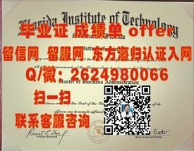 《揭秘千叶大学真伪：如何辨别千叶大学毕业证的真假及申请流程》