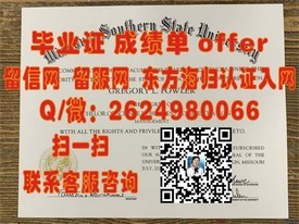 《久留米大学文凭背后的故事：揭秘全球认可的学历选择》
