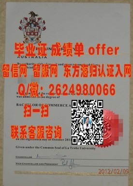 《深度揭秘：里丁大学官方文凭样本解析，助你轻松识别真伪》