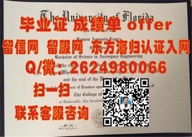 《深度揭秘：都柏林城市大学官方文凭样本，助你了解真实成绩单细节》