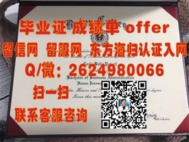 《诺丁汉大学文凭深度解析：成绩单样本揭秘，留学必备指南》