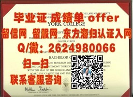 《阿贝学院官方文凭样本揭秘：毕业证、成绩单全解析》