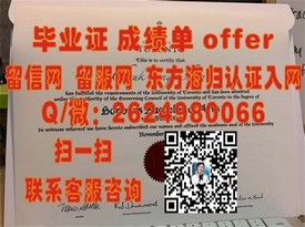 《利莫瑞克理工学院文凭揭秘：毕业证样本与成绩单详细解读》
