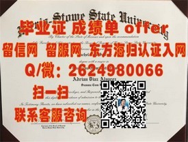 《谢菲尔德大学文凭样本解析：真实成绩单揭秘，留学必备参考》