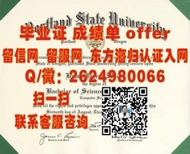 《深度解析：都柏林理工学院官方毕业证、文凭及成绩单样本，留学必备参考》