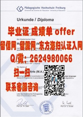 《麦考瑞大学官方文凭样本大揭秘：如何辨识真伪与完整成绩单指南》