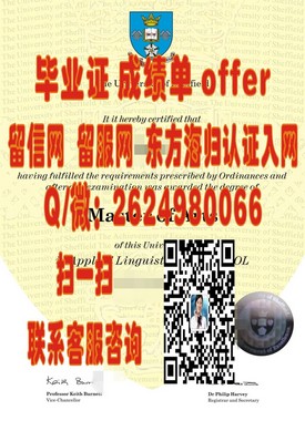 《切斯特大学文凭全解析：成绩单与毕业证样本大揭秘，留学必备攻略》