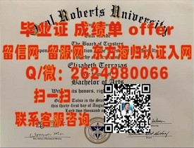 《纽卡斯尔大学文凭样本大揭秘：成绩单样式解析与获取指南》
