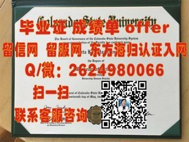 《揭秘利兹大学文凭样本：成绩单详解与毕业证书样式一览》