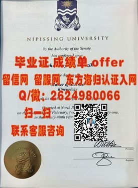 《利莫瑞克理工学院文凭揭秘：毕业证、成绩单样本深度解析》