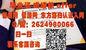 《普茨茅斯大学官方文凭揭秘：成绩单样本深度解析与获取指南》