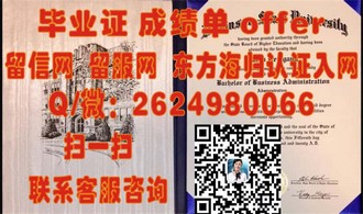 《拉萨尔学院文凭：揭秘艺术与设计的精英摇篮》