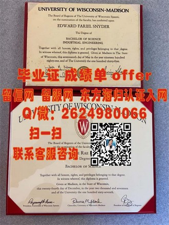 《安大略艺术设计学院文凭：开启艺术与设计领域的璀璨未来》