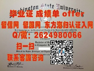 《荷兰屯特大学文凭：解锁欧洲高等教育之门的金钥匙》
