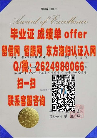 梅努斯大学文凭：解锁全球认可的学术成就与未来机遇