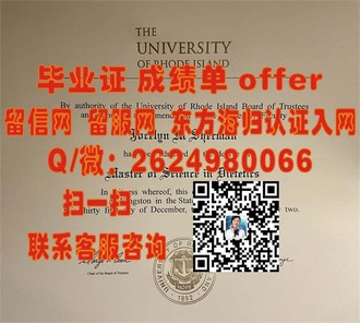 《新加坡国立大学文凭：全球认可的学术荣耀，开启无限可能》