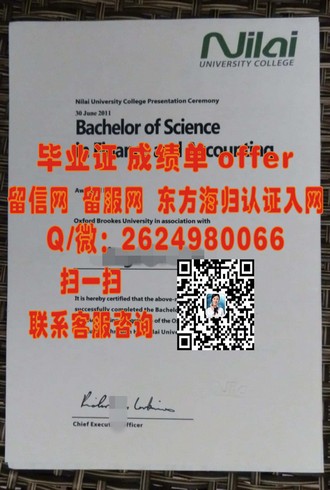 《意大利比萨大学文凭：开启你的欧洲学术之旅》