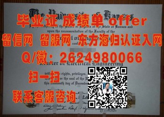 《利莫瑞克理工学院文凭：开启你的学术与职业新篇章》