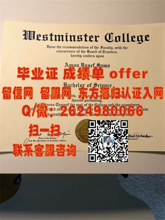 《萨里大学文凭：开启国际教育新篇章，成就未来职场精英之路》