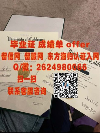 《奥克兰商学院文凭：成就未来商界领袖的黄金钥匙》