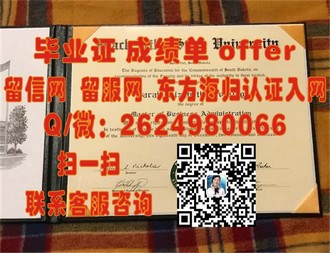 《惠灵顿理工学院文凭：全球认可的优质教育，开启你的未来之旅》