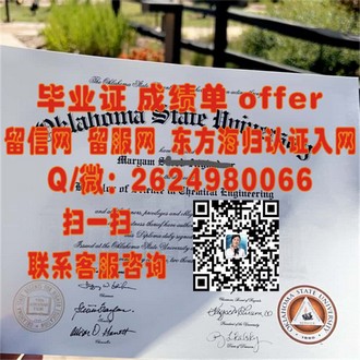 梅努斯大学文凭：揭秘顶尖学府的荣耀与成就
