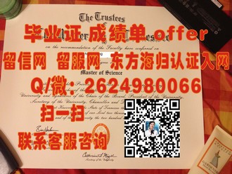 《利默里克大学文凭：开启你职业生涯的黄金钥匙》